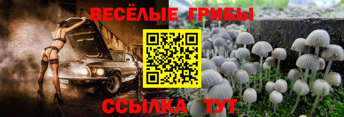 Псилоцибиновые грибы мицелий Ухта
